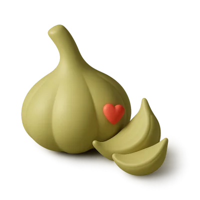 Ilustrace složky Extrakt z česneku